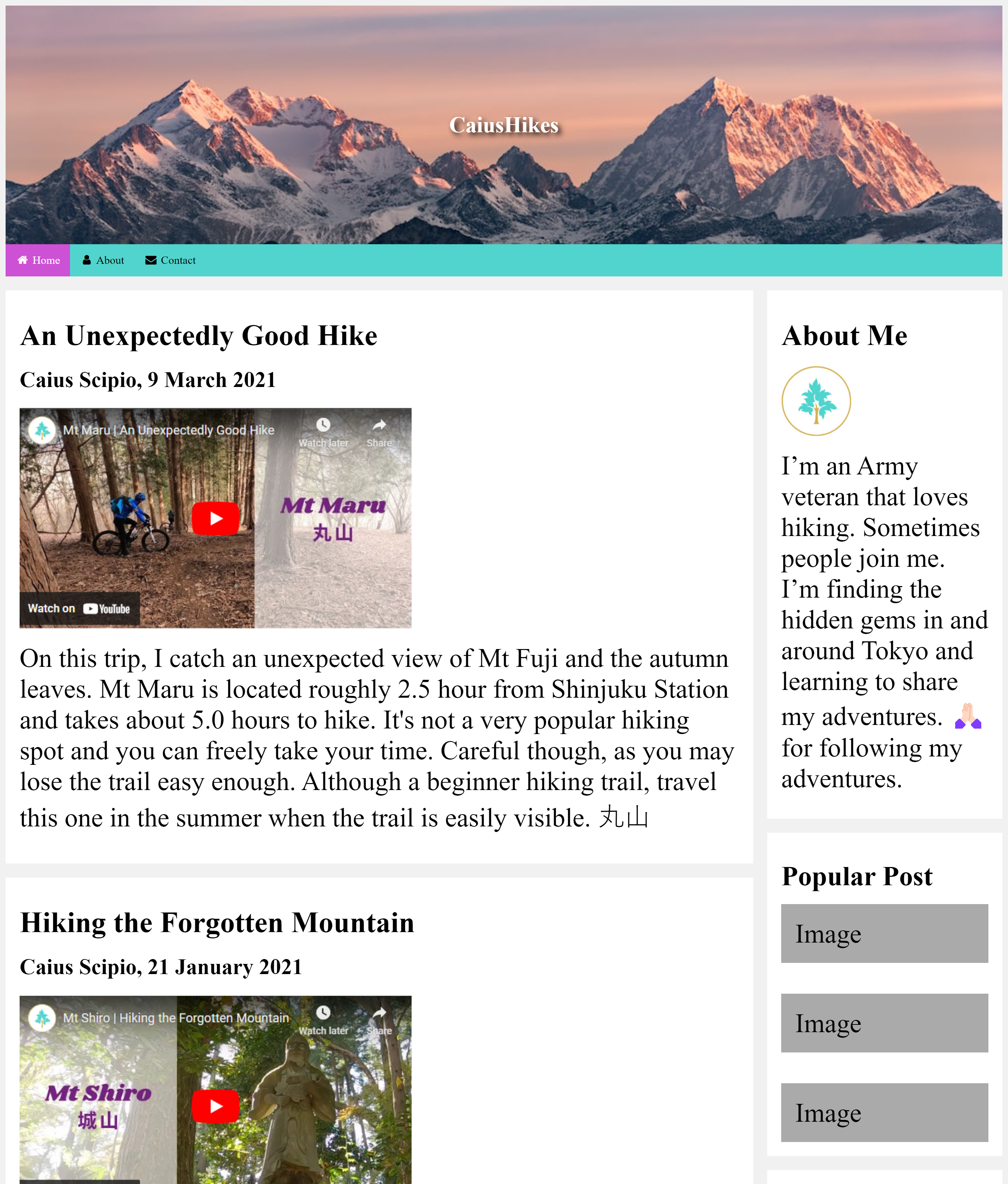 a larger version of the hiking website